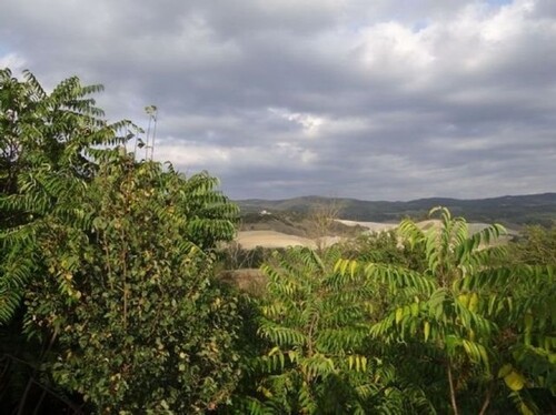 Bild 1 - Sanierungsbedürftiges Anwesen in beherrschender Lage