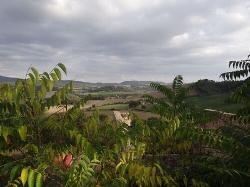 Bild 3 - 1 Zimmer Einfamilienhaus in Bucine