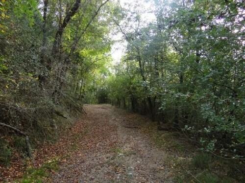 Bild 4 - Einfamilienhaus mit 780,00 m&sup2; in Bucine zum Kaufen