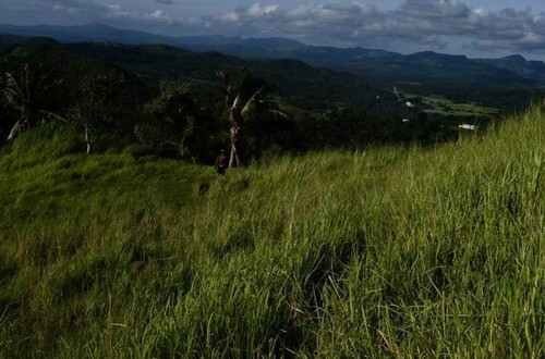 Bild 1 - Bauland,Agrarland 65ha für Investor,Meernähe in Philippinen