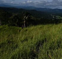 Bauland,Agrarland 65ha für Investor,Meernähe in Philippinen - Odiongan