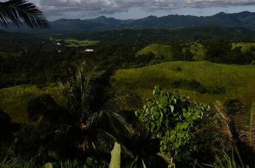 Bild 2 - 1 Zimmer Einfamilienhaus zum Kaufen in Odiongan