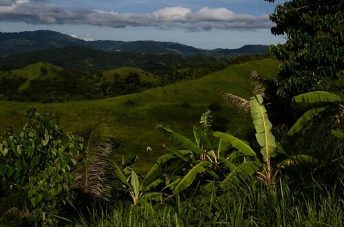 Bild 4 - Einfamilienhaus in Odiongan zum Kaufen