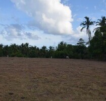 Schönes naturbelassenes Grundstück mit Strand in Philippinen - Odiongan