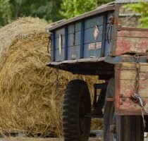 Kleiner Bauernhof - 700.000,00 EUR Kaufpreis, ca.  200,00 m² Wohnfläche in Ljungbyhed (PLZ: 264)