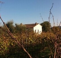 Neubau auf einem Hügel im Arnota Alleinlage - Montopoli in Val d´Arno