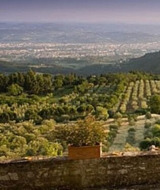 Bild 3 - 1 Zimmer Einfamilienhaus in Fiesole