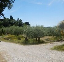 Wohnung in einem alten toskanischen Dorf - Ambra Wohnung in einem alten toskanischen Dorf - Ambra