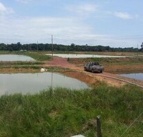 Brasilien 90 Ha grosse schöne Fischzucht und Rinderzuchtfarm - Manaus
