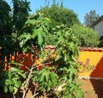 Haus mit Meerblick in Karin Gornji, Kreis Zadar - Gornji Karin