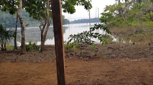 Bild 2 - Grundstück zum Kaufen in Presidente Figueiredo