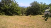 Bild 5 - 