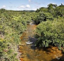 Land, 50km von Landeshauptstadt 2.108 ha - Cuiabá