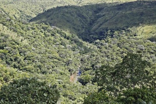 Bild 2 - Grundstück zum Kaufen in Cuiabá
