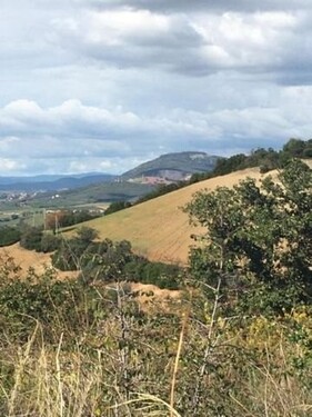 Bild 2 - Grundstück zum Kaufen in Grosseto