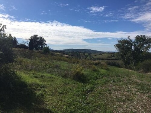 Bild 4 - Grundstück in Grosseto zum Kaufen