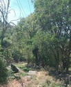 Bild 3 - 1 Zimmer Einfamilienhaus in Kreis Ulcinj