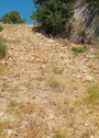 Bild 5 - 