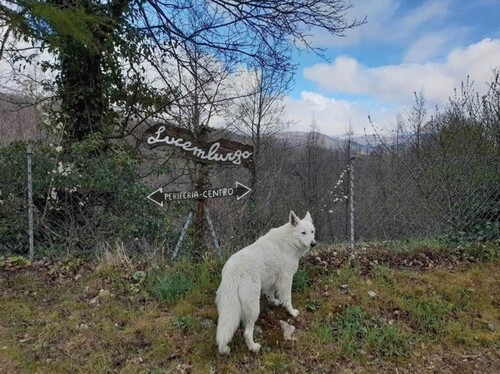 Bild 4 - Einfamilienhaus mit 110,00 m² in Sestino zum Kaufen