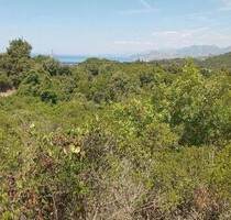 Grundstück am Meer - 108.000,00 EUR Kaufpreis, ca.  2.000,00 m² in Bar-Vidikovac (PLZ: 85357)