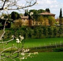 Eindrucksvolle Residenz hinter dem Trasimeno See - Castiglione del Lago