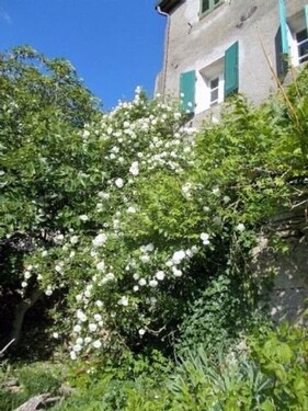 Bild 3 - 7 Zimmer Etagenwohnung in Roccastrada