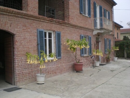 Bild 2 - 6 Zimmer Einfamilienhaus zum Kaufen in Incisa Scapaccino