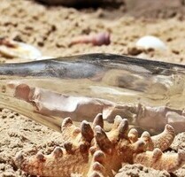 Haus mit Meerblick, Feldrandlage südliche Costa Blanca - Villamartín