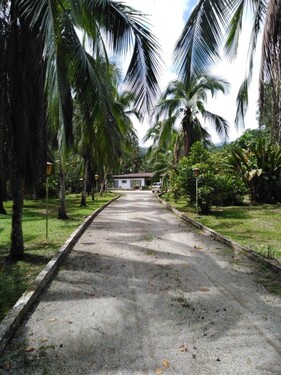 Bild 2 - 5 Zimmer Einfamilienhaus zum Kaufen in Rio Claro
