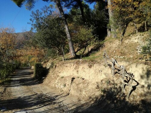 Bild 3 - 2 Zimmer Einfamilienhaus in San Bartolomeo al Mare