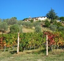 Touristik. Weingut mit insgesamt 70 Zimmern - Florenz