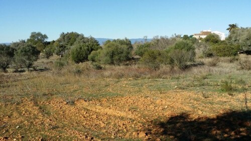 Bild 2 - 4 Zimmer Einfamilienhaus zum Kaufen in Lagoa