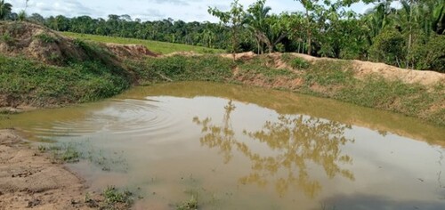 Bild 1 - Brasilien 20´000 Ha Farm mit Rohstoffen bei Mancore