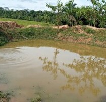 Brasilien 20´000 Ha Farm mit Rohstoffen bei Mancore - Manicore