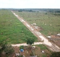 Brasilien 11´000 Ha grosses Grundstück mit Rohstoffen - Novo Aripuana