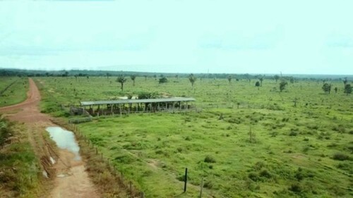 Bild 3 - Grundstück in Novo Aripuana