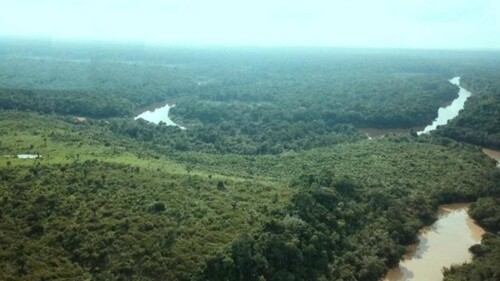 Bild 4 - Grundstück in Novo Aripuana zum Kaufen