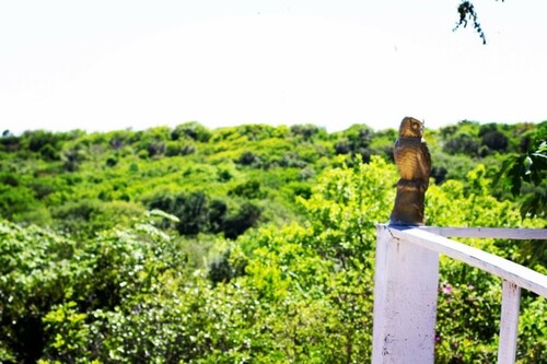 Bild 4 - Einfamilienhaus mit 2.200,00 m&sup2; in Natal zum Kaufen