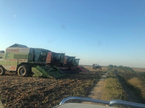 Bild 1 - Ackerbaubetrieb - 7.500.000,00 EUR Kaufpreis, ca.  500,00 m² Wohnfläche