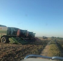 Ackerbaubetrieb - 7.500.000,00 EUR Kaufpreis, ca.  500,00 m² Wohnfläche in Gurahont (PLZ: 317153)