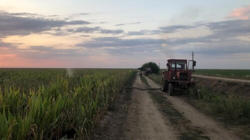 Bild 2 - 5 Zimmer Einfamilienhaus zum Kaufen in Gurahont