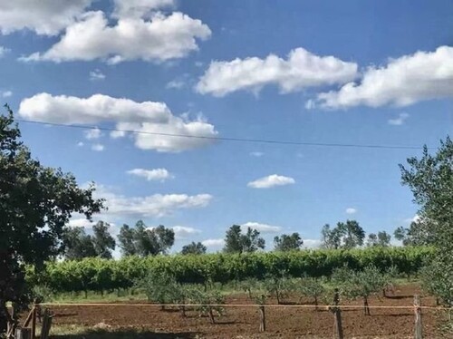 Bild 2 - 3 Zimmer Einfamilienhaus zum Kaufen in Pitigliano