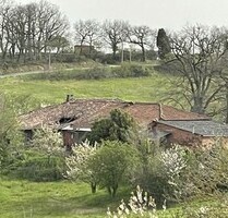 Kleiner Bauernhof mit 13ha Bio-Weideland und Nebengebäuden - PUYLAUSIC