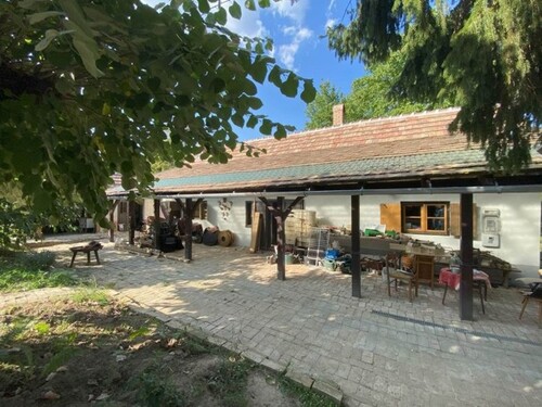 Bild 1 - Im Komitat Zala 150m2 Bauernhaus mit 4ha Land zu verkaufen