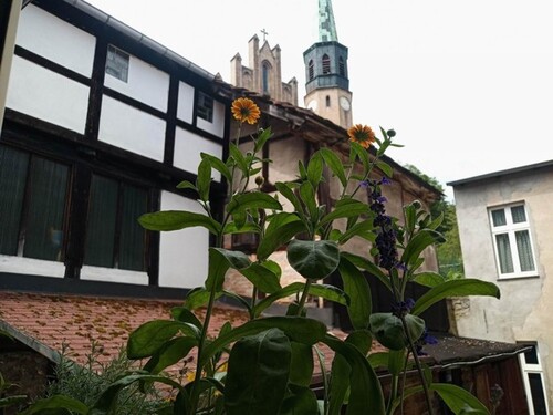 Bild 3 - 7 Zimmer Einfamilienhaus in Oderberg