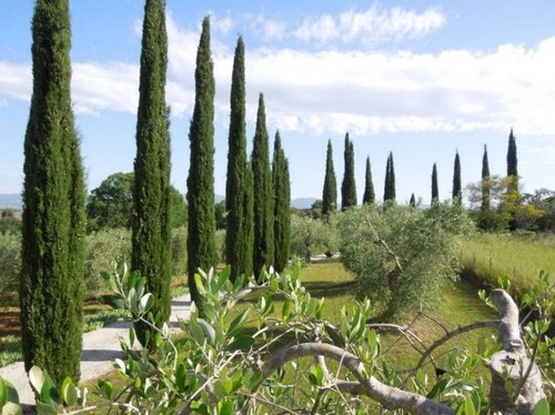 Bild 4 - Einfamilienhaus mit 350,00 m&sup2; in Magliano zum Kaufen