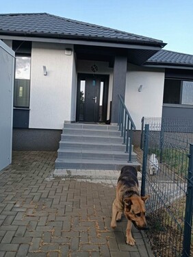 Bild 1 - Voll möbliertes 3-Zimmer-Haus in Tomesti zu verkaufen