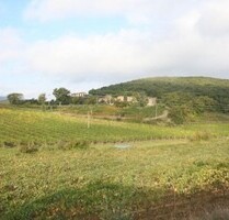 Weingut Toskana - 6.000.000,00&nbsp;EUR Kaufpreis, ca.&nbsp; 70.000,00&nbsp;m&sup2; in Montalcino (PLZ: 53024)