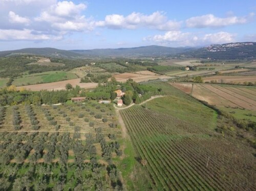 Bild 3 - 20 Zimmer Einfamilienhaus in Follonica