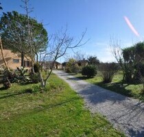 Podere Wein und Meer Toskana - 1.050.000,00&nbsp;EUR Kaufpreis, ca.&nbsp; 730,00&nbsp;m&sup2;&nbsp;Wohnfl&auml;che in Massa Marittima (PLZ: 58024)